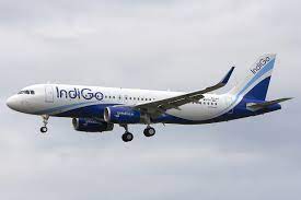 Indigo's response after the Techie 'hacks' website to find lost luggage