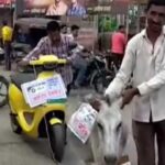 Maharashtra Man binds Ola Scooter to the donkey, paraded around the city. This is the reason