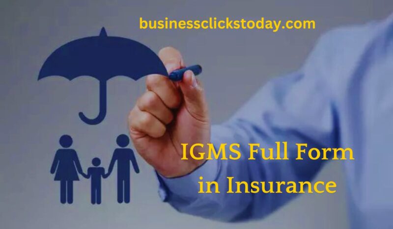 IGMS Full Form in Insurance: Key Features and Benefits