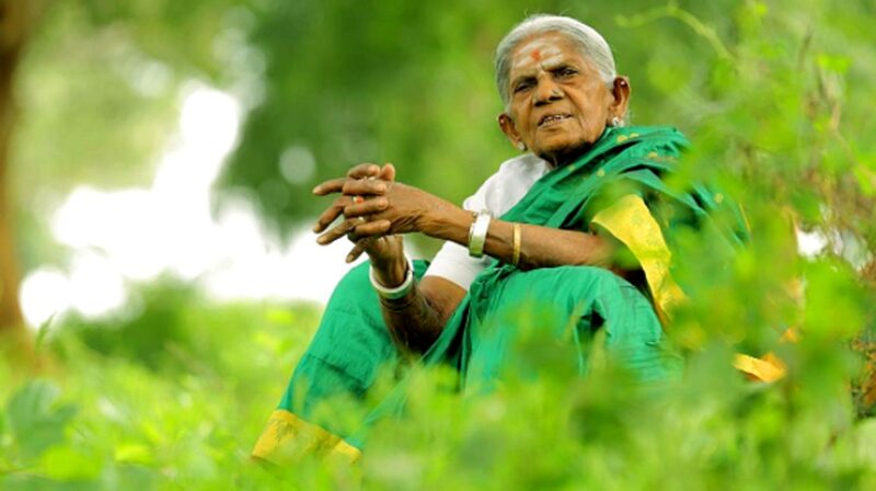 Saalumarada Thimmakka