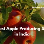 Highest Apple Producing States in India