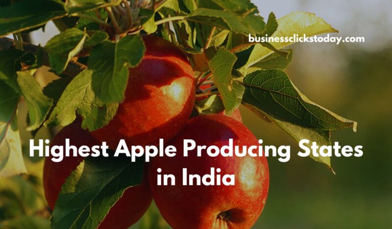 Top 5 Highest Apple Producing States in India: A 2024 Overview