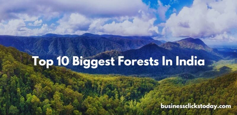 Top 10 Biggest Forests In India You Must Explore