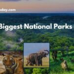 Biggest National Parks In India