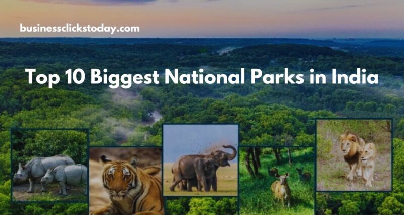 Biggest National Parks In India