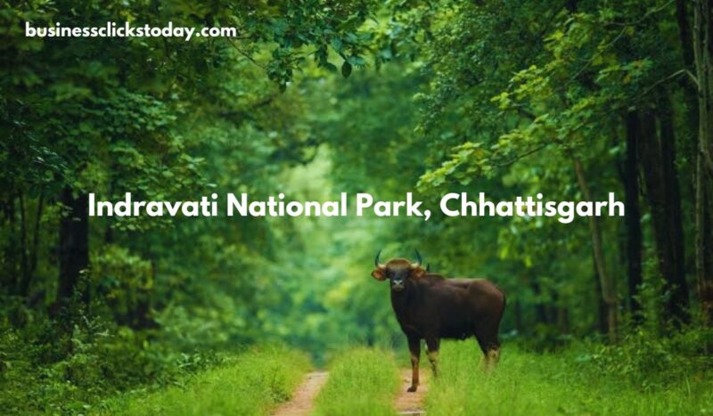 Indravati National Park, Chhattisgarh