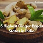 Highest Ginger Producing States in India