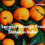 Largest Orange Producing States in India