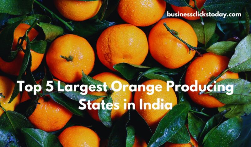 Largest Orange Producing States in India