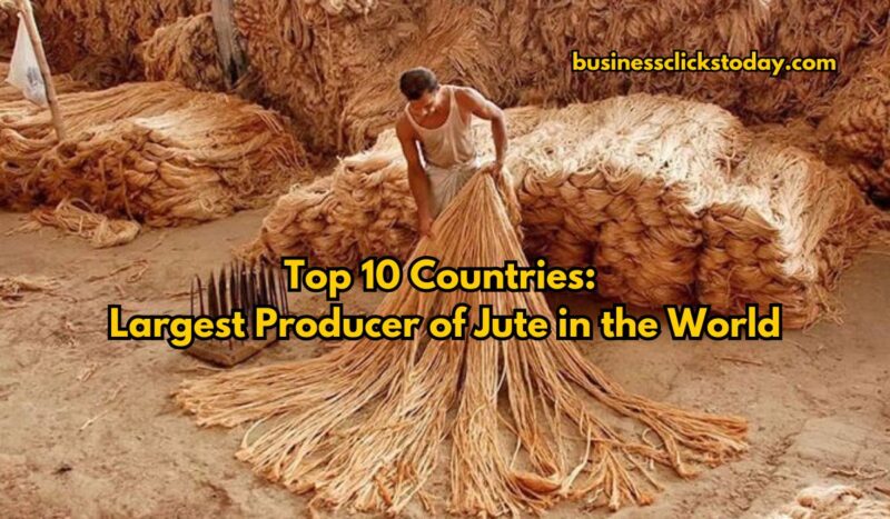 Top 10 Countries: Largest Producer of Jute in the World