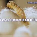 Largest Producer of Silk in the World