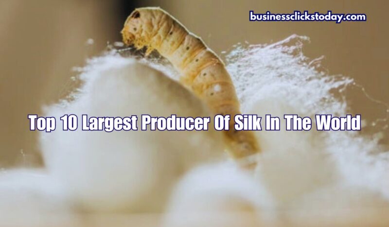 Top 10 Countries: The Largest Producer of Silk in the World