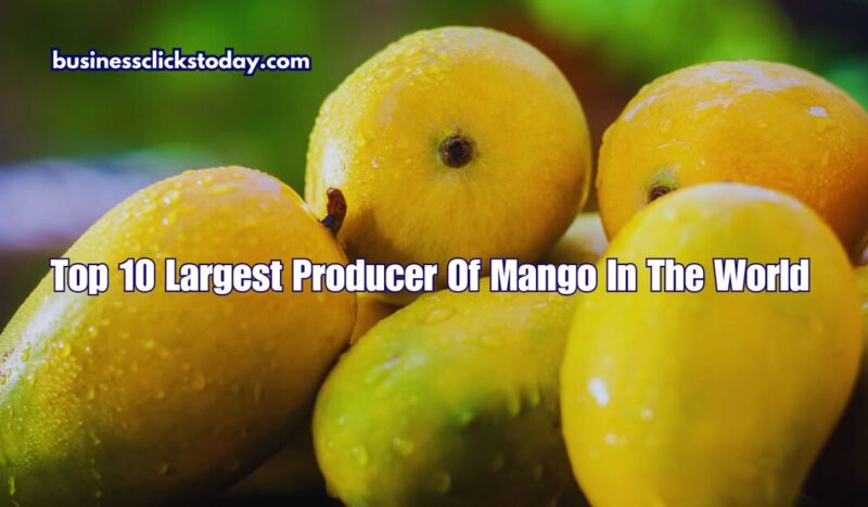 Top 10 Countries: Largest Producer Of Mango In The World