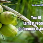 Largest Producer Of Coconut In The World