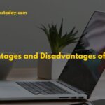 Advantages and Disadvantages of MNCs