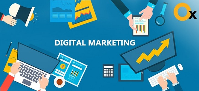 Digital Marketing Agency