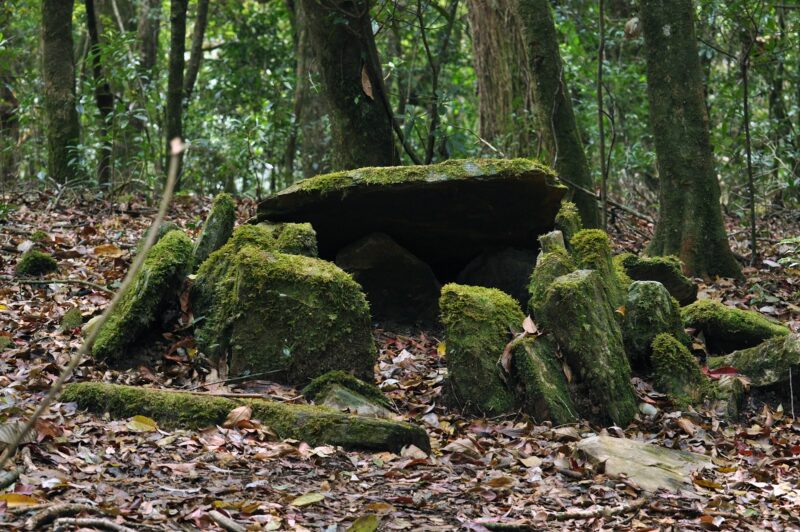 Mawphlang Sacred Grove