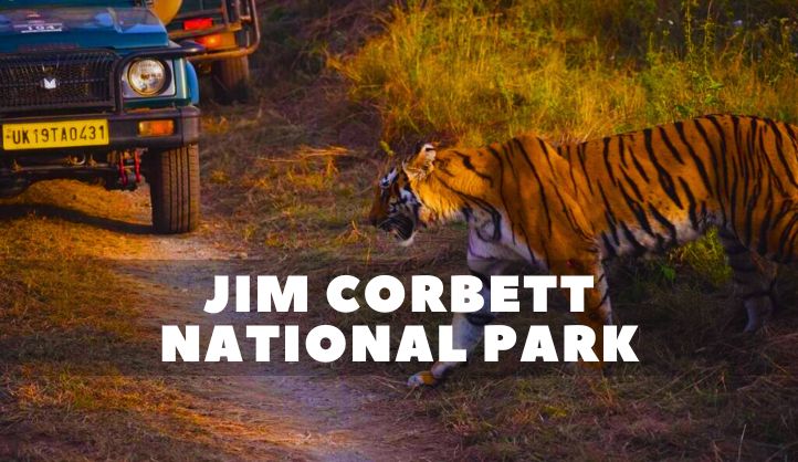 Jim Corbett National Park, Uttarakhand