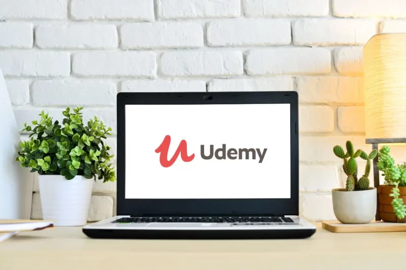 Udemy Business Model