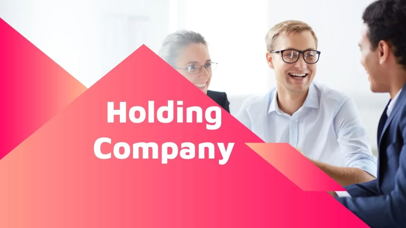 Holding Company Advantages and Disadvantages