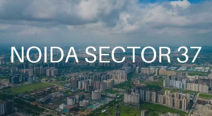 Sector 37, Noida: Location, Connectivity, Investment, Property Price and Nearby Areas